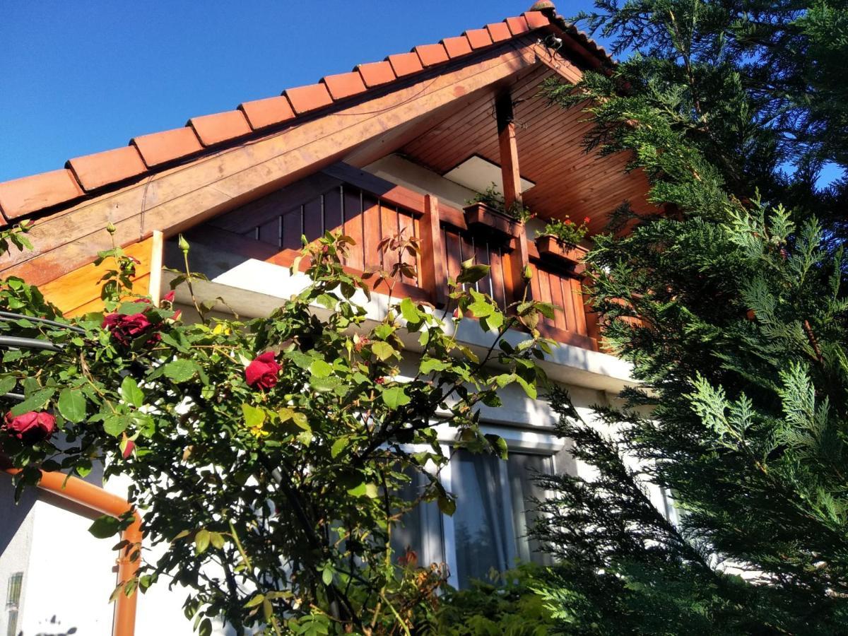 Robitel Wellness Vendeghaz Veszprem-Gyulafiratot Hotel Exterior foto