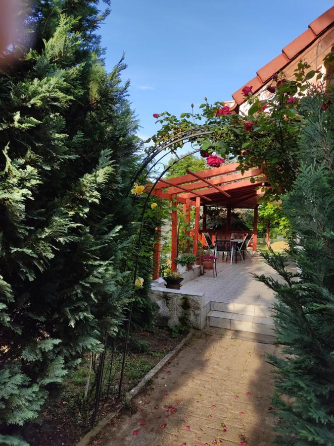 Robitel Wellness Vendeghaz Veszprem-Gyulafiratot Hotel Exterior foto