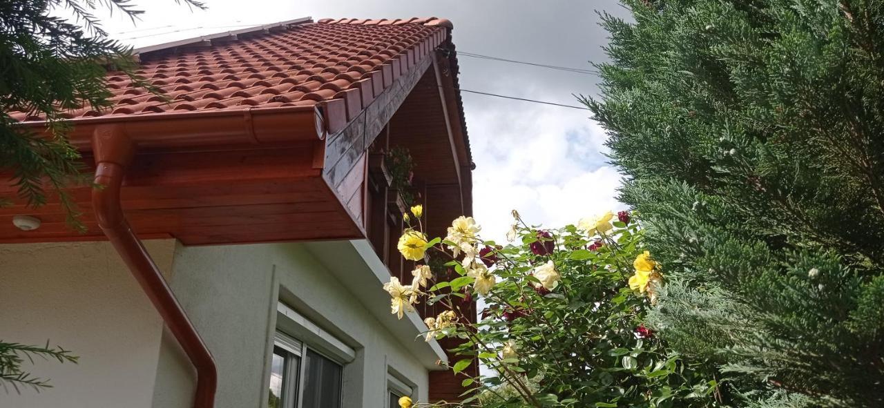 Robitel Wellness Vendeghaz Veszprem-Gyulafiratot Hotel Exterior foto