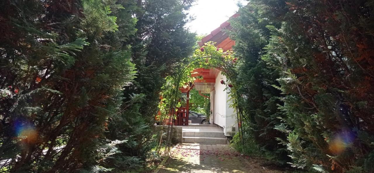 Robitel Wellness Vendeghaz Veszprem-Gyulafiratot Hotel Exterior foto