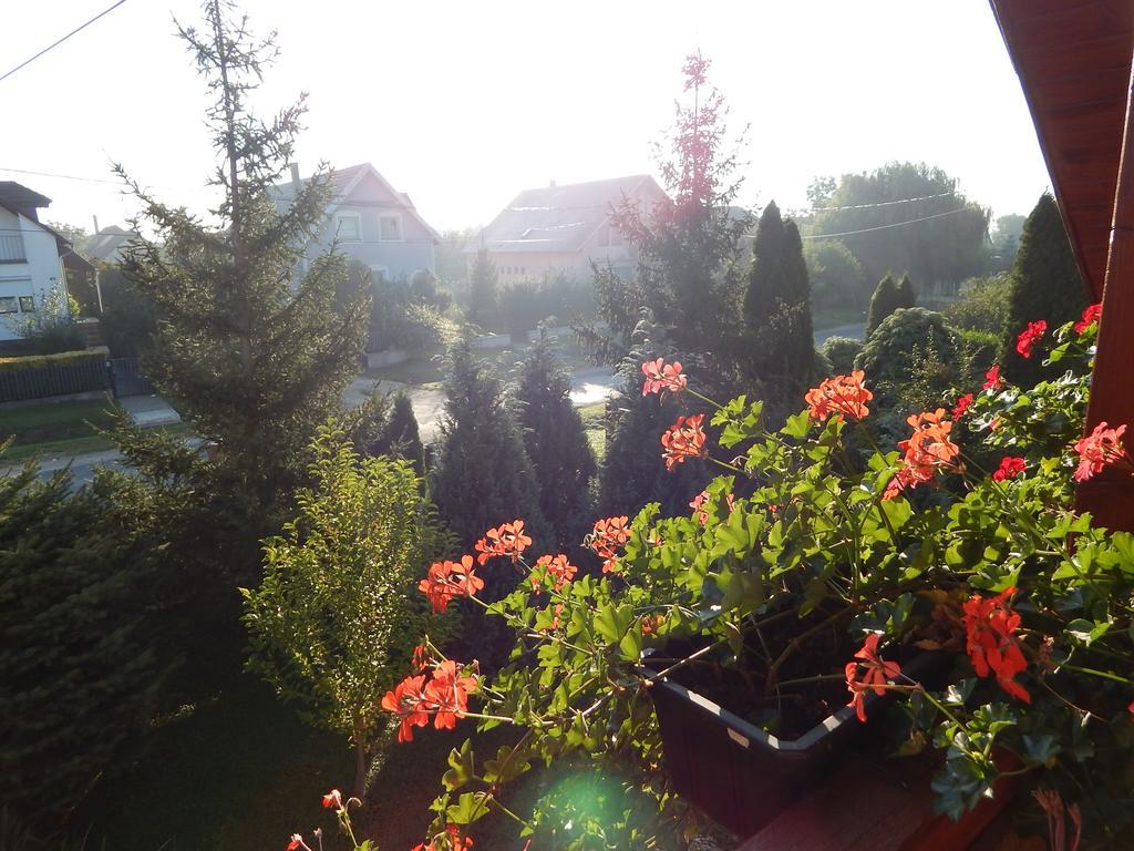 Robitel Wellness Vendeghaz Veszprem-Gyulafiratot Hotel Cameră foto
